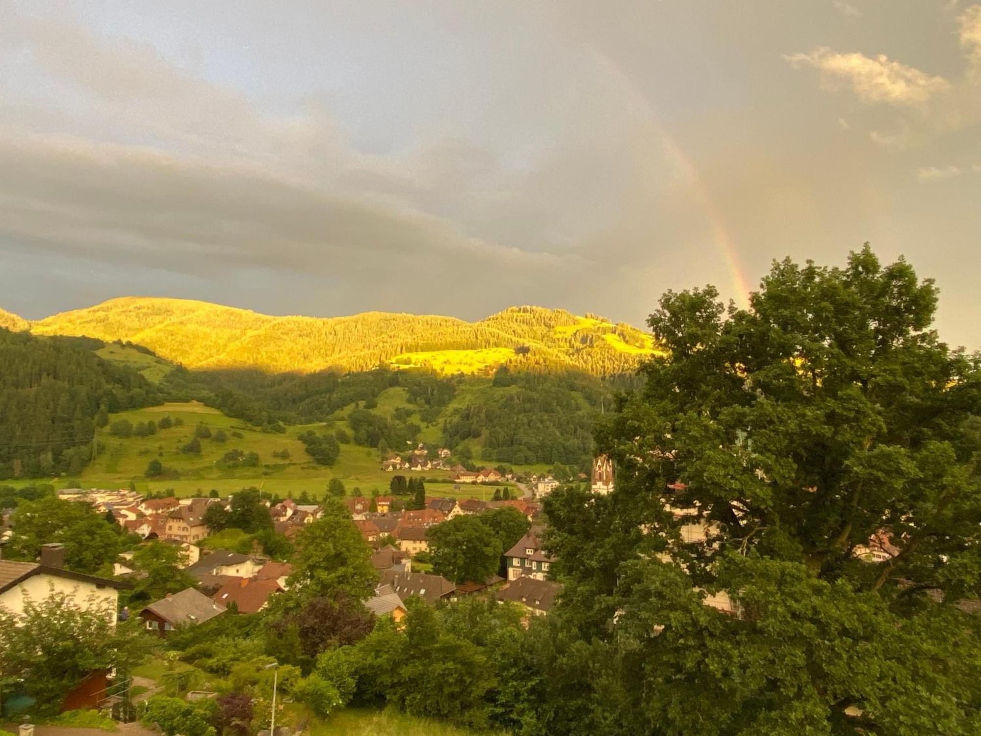 Ferienwohnung Schoenblick Schönau im Schwarzwald Exteriör bild